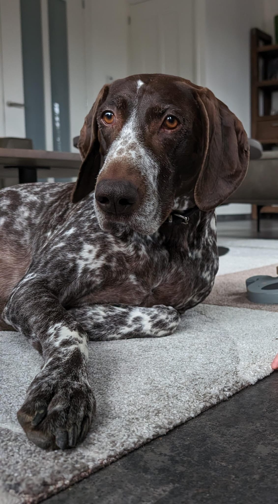 Tas met foto